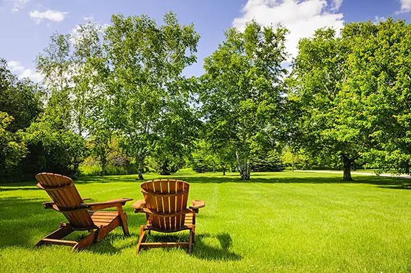 Lawn Care - Westchester